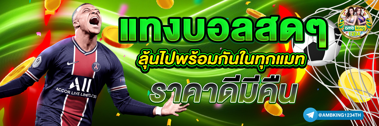 true wallet - แบนเนอร์โปรโมชั่น